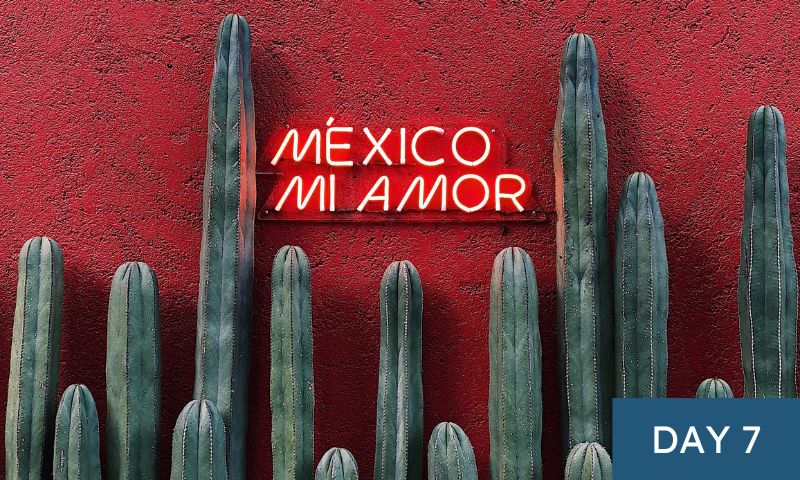 mexico city video tour
